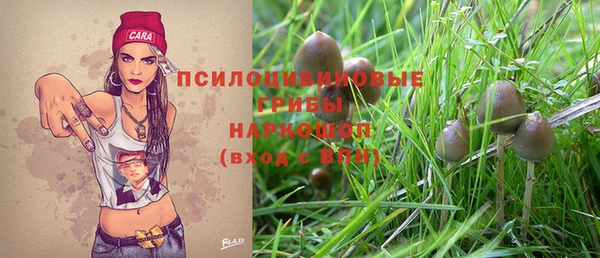 спиды Кукмор