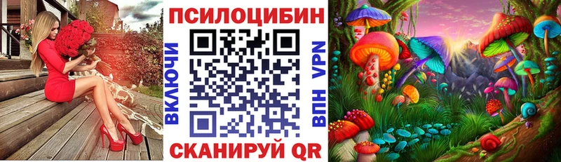 даркнет сайт  Дзержинск  Галлюциногенные грибы ЛСД 